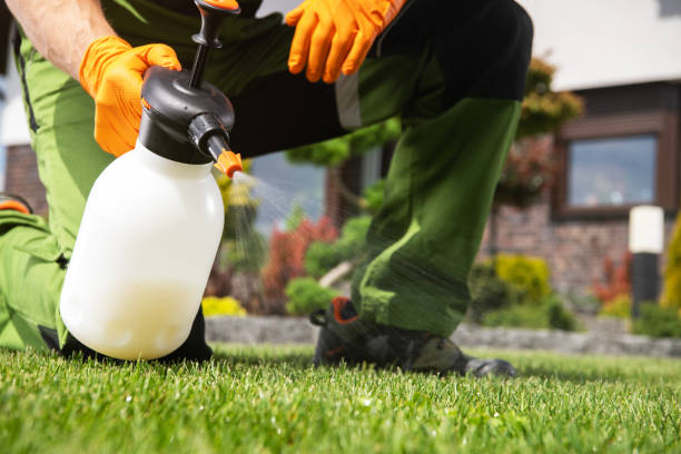 Trusted Vandalia, MO Pest Control Experts