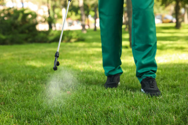 Best Pest Prevention Services  in Vandalia, MO