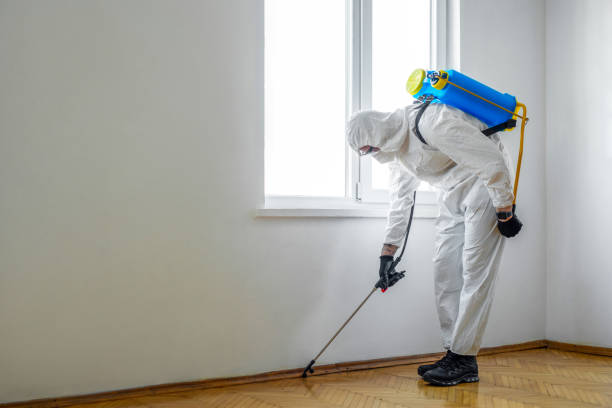 Best Best Pest Control Near Me  in Vandalia, MO