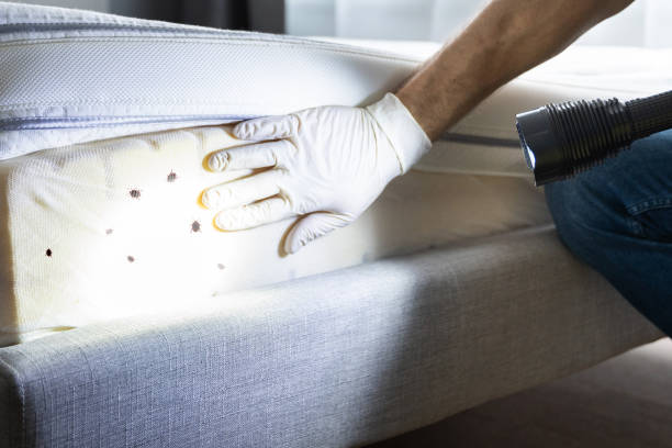 Best Best Pest Control Companies  in Vandalia, MO