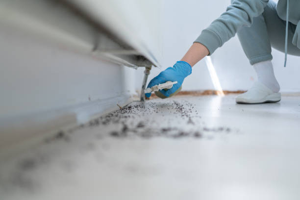 Best Commercial Pest Control Services  in Vandalia, MO